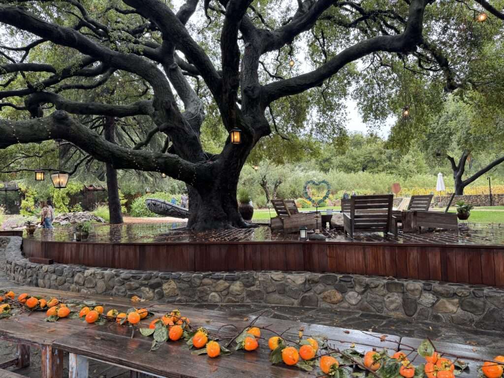 CasaDelSolOutdoorKitchen.photoCindyPitouBurton-2-1024x768