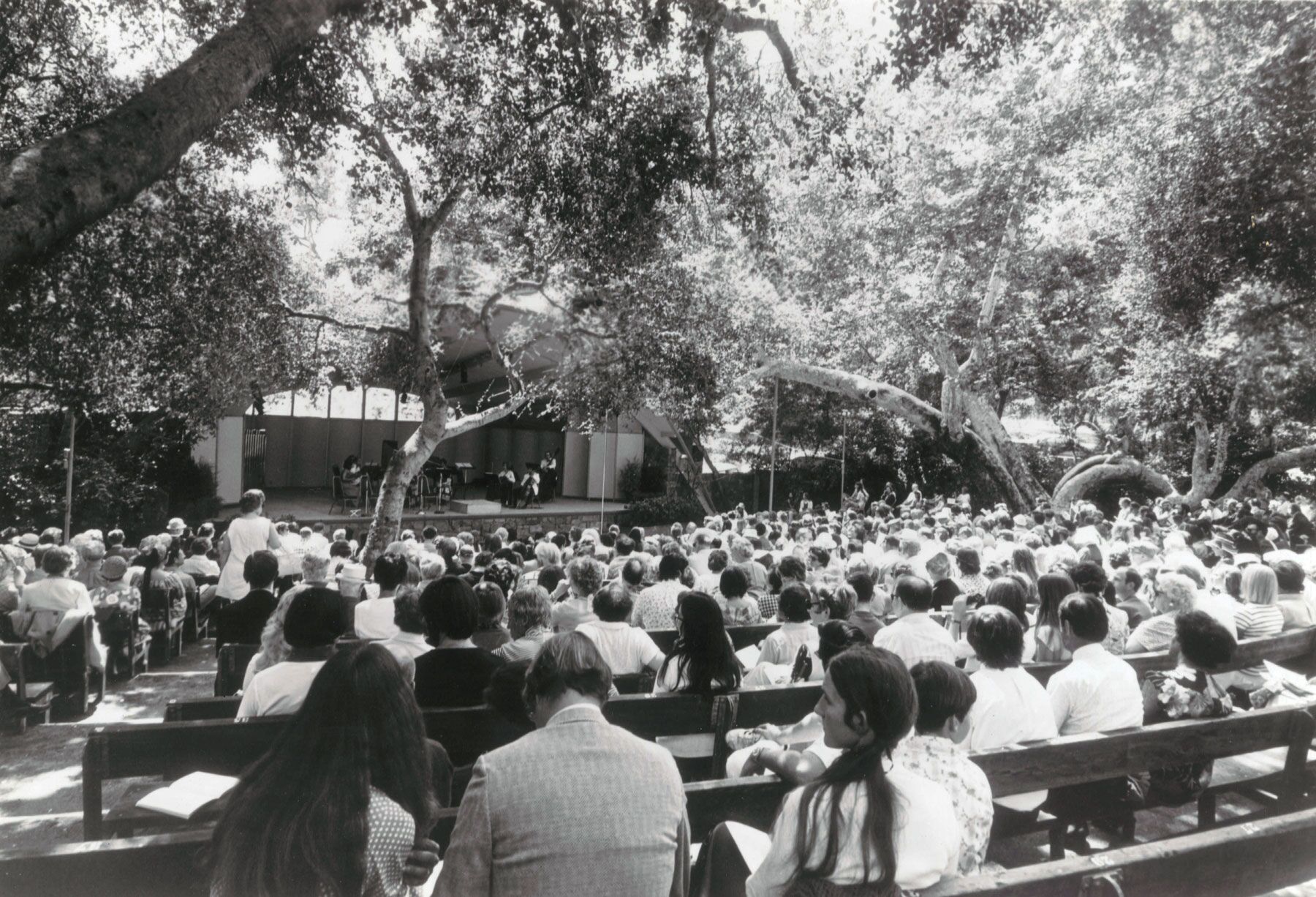 black and white film photo of an audience seated outdoors