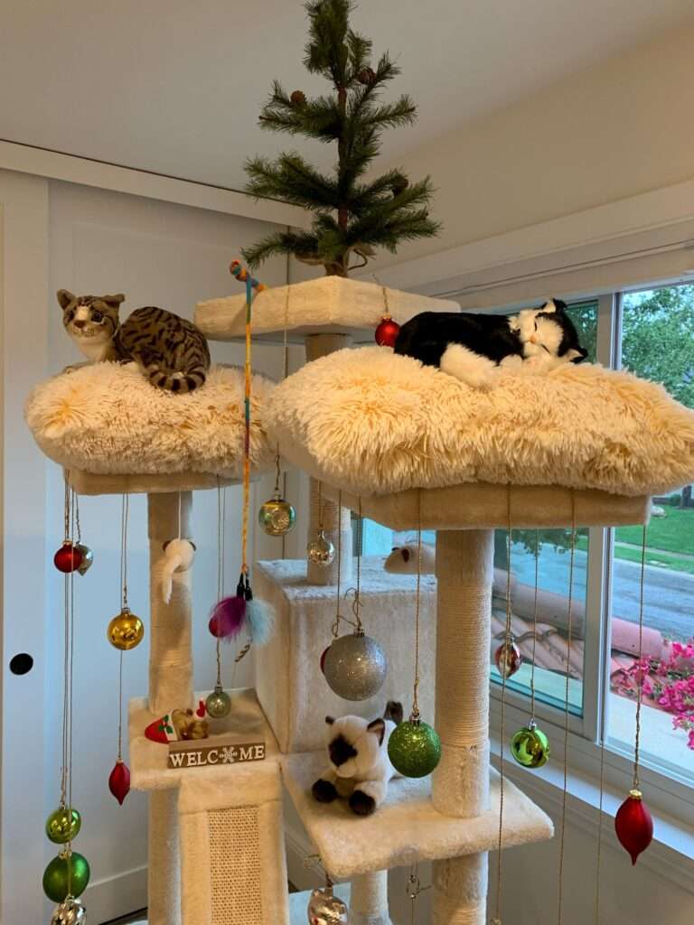 WanderersRetreat-cat-playground.photoLynnMalone-768x1024